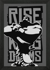 Listing image for ROK Gilgamesh+ Framed Wall Art Poster Canvas Print Picture