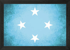 Listing image for Micronesia vintage flag Framed Wall Art Poster Canvas Print Picture