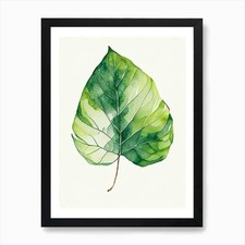 Listing image for Breadfruit Leaf Minimalist Watercol Framed Wall Art Poster Canvas Print Picture