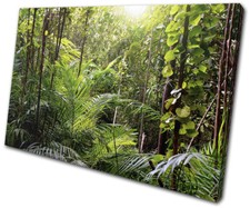Listing image for Tropical Rainforest Jungle Landscapes SINGLE CANVAS WALL ART Picture Print