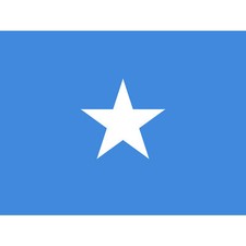 Listing image for Somalia National Flag World Flags Country Poster Huge Wall Art Print Giant