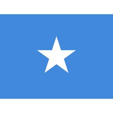 Listing image for Somalia National Flag World Flags Country Canvas Poster Print Picture Wall Art