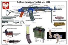 Listing image for *BIG Color POSTER Poland Polish TANTAL Rifle Kalashnikov 5.45x39 LQQK USA SELLER