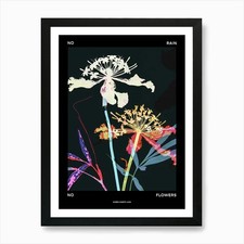 Listing image for No Rain No Flowers Poster Queen Ann Framed Wall Art Poster Canvas Print Picture