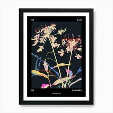 Listing image for No Rain No Flowers Poster Queen Ann Framed Wall Art Poster Canvas Print Picture