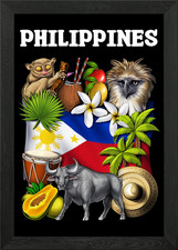Listing image for Philippines Framed Wall Art Poster Canvas Print Picture