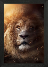 Listing image for African lion king head Framed Wall Art Poster Canvas Print Picture