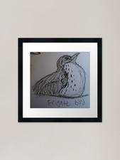 Listing image for Frigate Bird (Sketch) Framed Art Pr Framed Wall Art Poster Canvas Print Picture