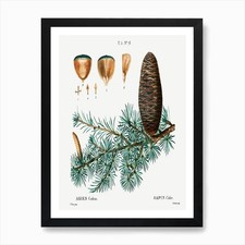 Listing image for Cedar Of Lebanon, Pierre Joseph Red Framed Wall Art Poster Canvas Print Picture