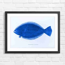 Listing image for Olive Flounder Marine Fish Portrait Blue Framed Wall Art Print Large Picture