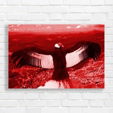 Listing image for Andean Condor Red Canvas Print Large Picture Wall Art