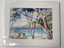 Listing image for African Green Vervet Edition Art Print by Rosey Cameron Smith St. Kitts -NEW