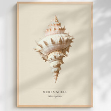 Listing image for Murex Shell Print Muricidae | Coastal Natural History Wall Art | Ocean Gift