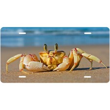 Listing image for Custom Golden Ghost Crab on Beach Novelty Front License Plate - Carribean decor