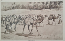 Listing image for DESERT CAMEL CARAVAN PRINT Vintage 1920s 30s Retro Children's School Art Poster