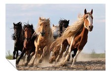 Listing image for Brown & Black Mongolian Horses Running Artistic Poster Wall Art Home Decor