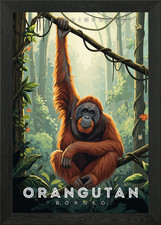 Listing image for Orangutan in Borneo Rainforest Illu Framed Wall Art Poster Canvas Print Picture