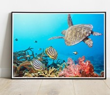 Listing image for Caribbean Wall Decor Photo / Poster Up To 36"