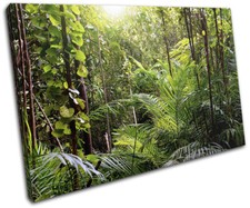Listing image for Tropical Rainforest Jungle Landscapes SINGLE CANVAS WALL ART Picture Print