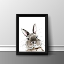Listing image for RABBIT HARE BUNNY A4 PRINT PICTURE POSTER WALL ART HOME DECOR UNFRAMED GIFT NEW
