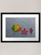 Listing image for A Common Ancestor? Framed Art Print Framed Wall Art Poster Canvas Print Picture