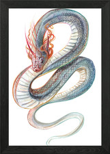Listing image for Rainbow Serpent Dragon Framed Wall Art Poster Canvas Print Picture