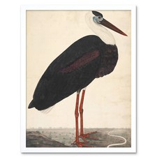 Listing image for Black Stork In A Landscape Indian Watercolour Bird Wall Art Print Framed